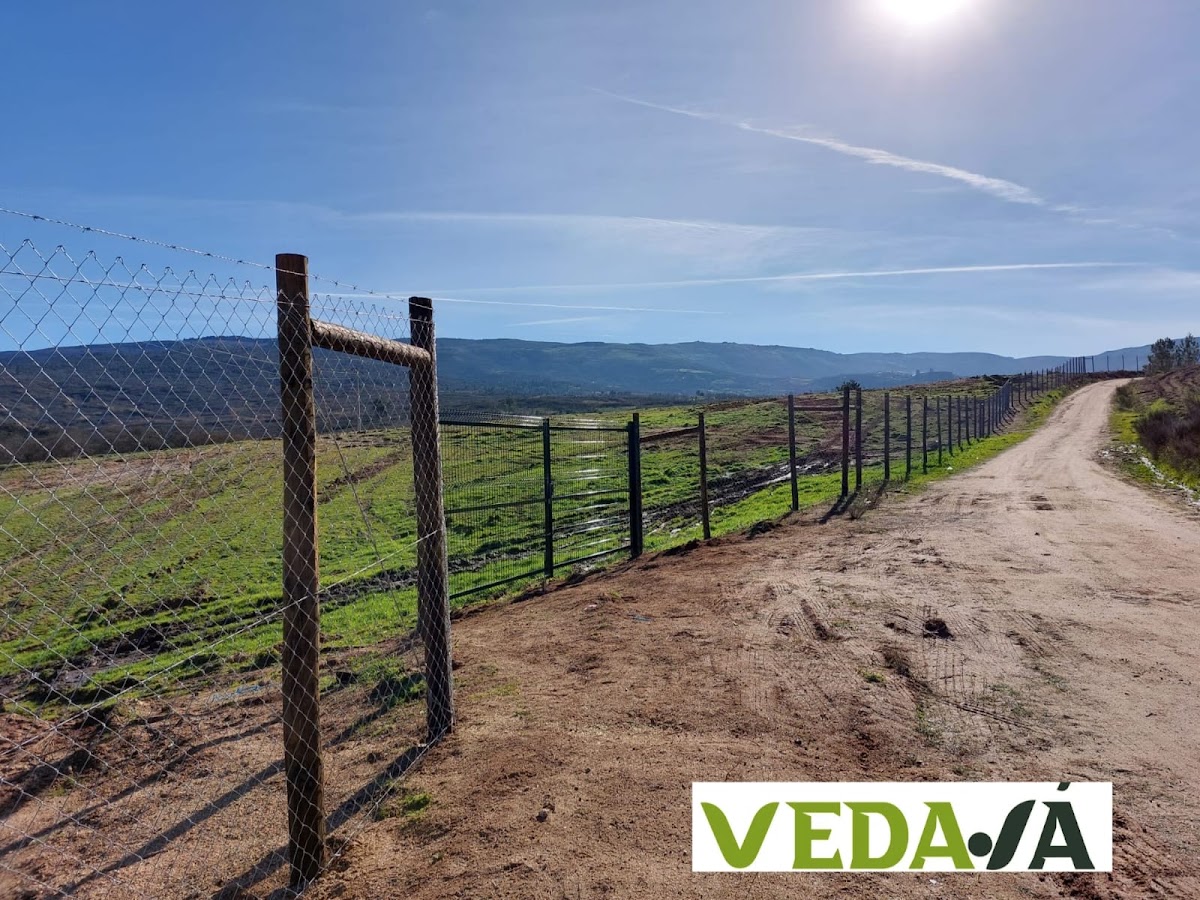 VEDAJA, UNIPESSOAL LDA