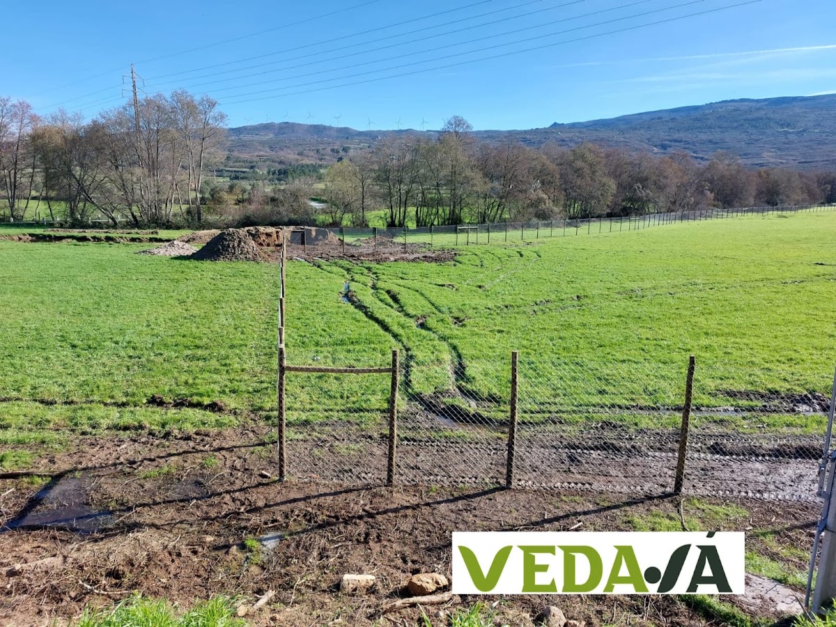 VEDAJA, UNIPESSOAL LDA foto 8