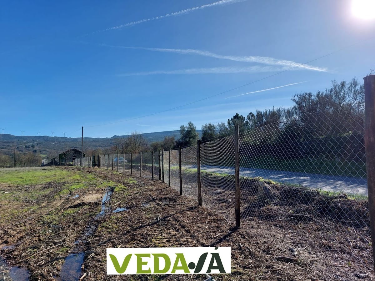VEDAJA, UNIPESSOAL LDA foto 10