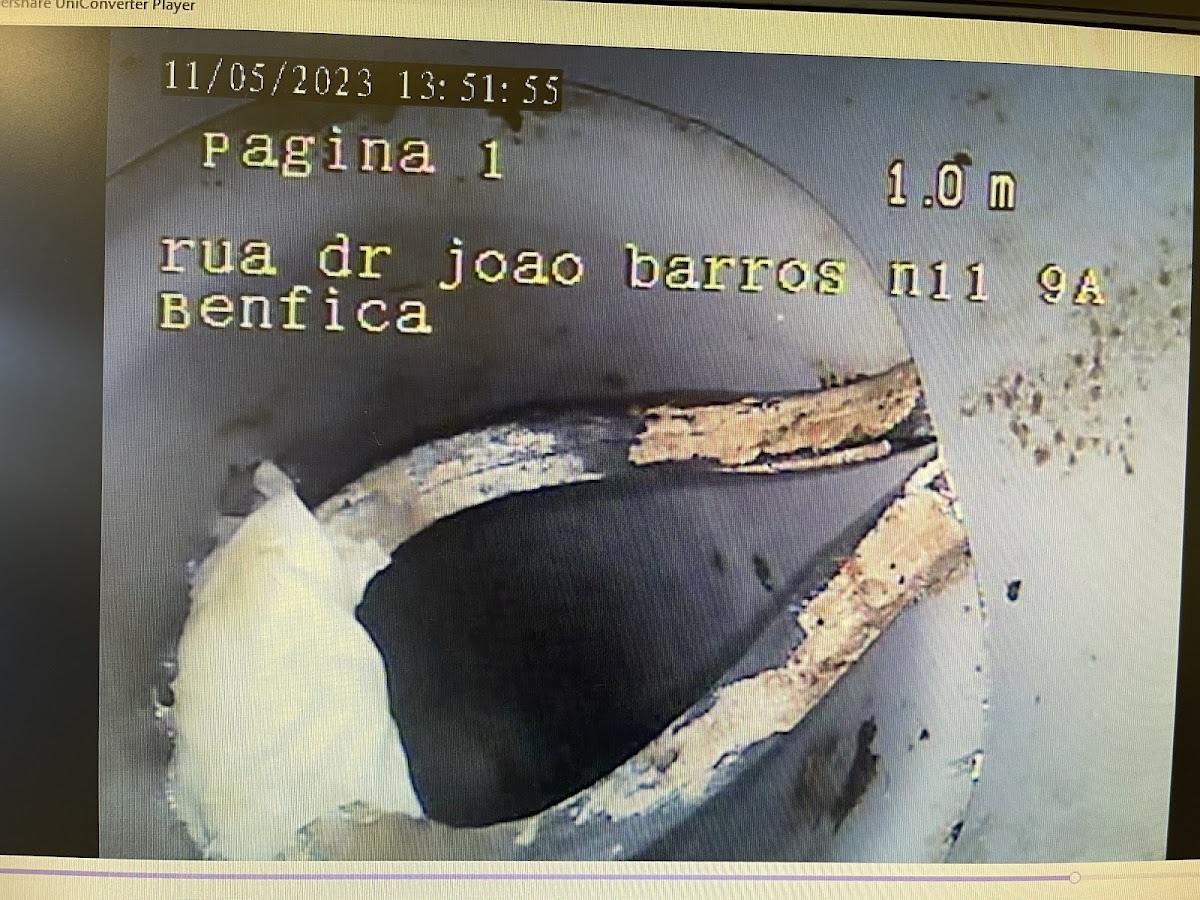 Canalizador Assistência