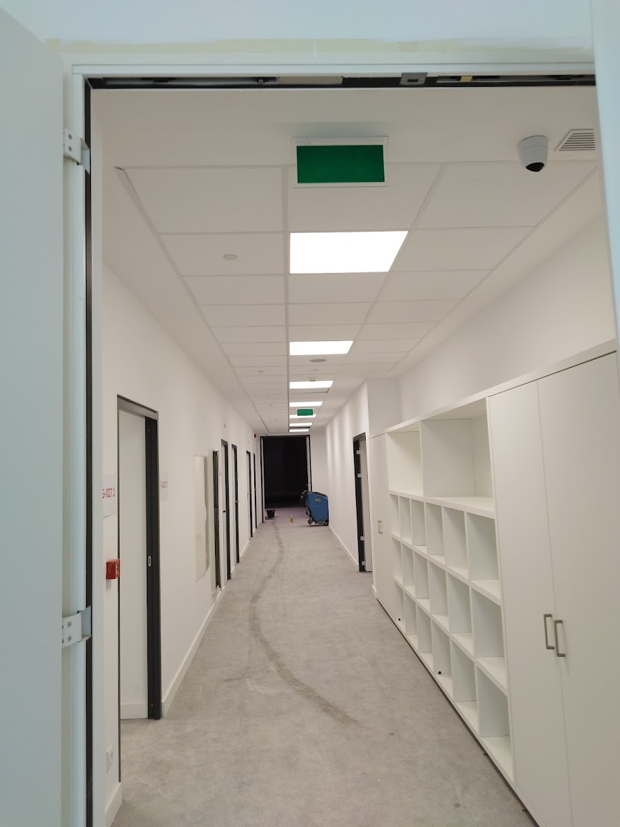 Wallrise - Plaster Solutions, Lda foto 7