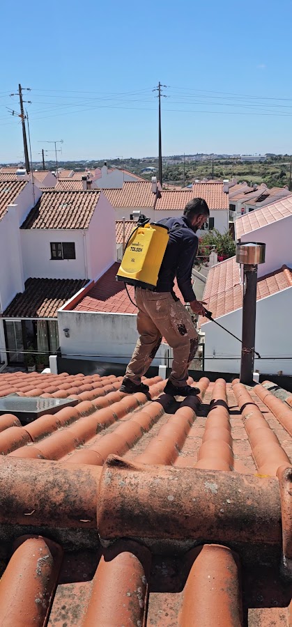 Paté das obras foto 3