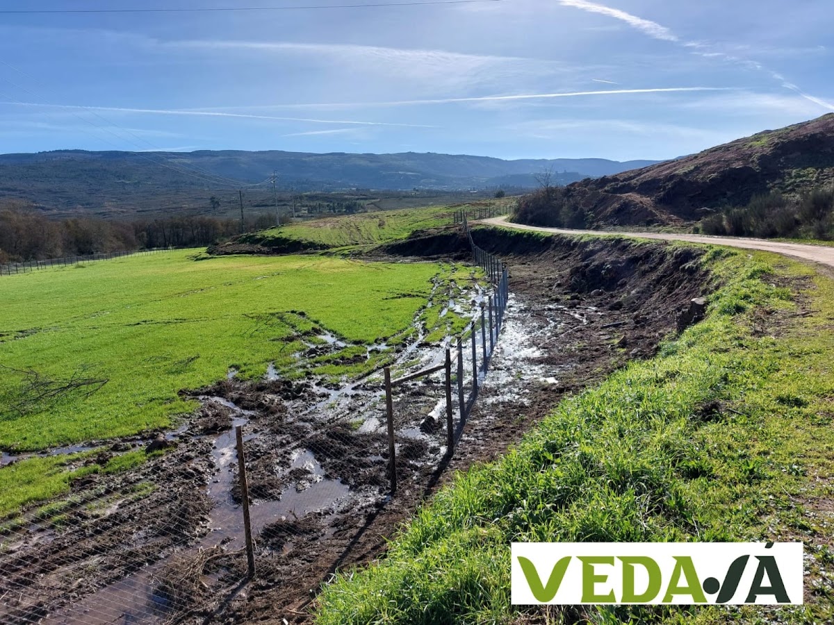 Pravin, Preservação De Madeiras Para Vinhas E Vedações, S.A foto 2